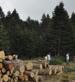 Uludağ'da '4 bin ağaca kıymayın' eylemi