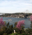 İstanbul Boğazı´nda Erguvanlı günler