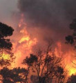 60 hektar ormanlık alan yandı
