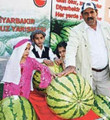 7 yıldır Türkiye'nin en büyük karpuzunu üretiyor