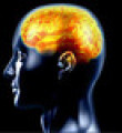 Beyin, Alzheimer'dan önce küçülüyor