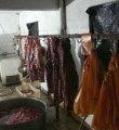 Düzce'de 200 kilo at eti ele geçirildi