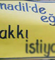 Halkın yüzde 17'sinin ana dili Türkçe değil