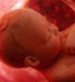 Hamilelikte beslenme bebeğin DNA'sını etkiliyor