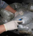 İstanbul'da 281 kg kokain ele geçirildi