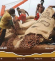 Kakao'da fiyatlar arttı çikolataya zam gelebilir