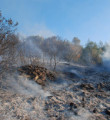 Karabük orman yangınında hasar büyük