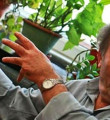 Laçiner: Muhsin Yazıcıoğlu arkadaşlarımın katili