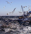 Mersin'deki kayıp balıkçılar bulundu