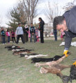 Öfkeli çiftçi ölü oğlakları çocuk parkında sergiledi