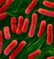 Ölümcül bakteri hızla yayılıyor