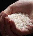 Pirinç türleri karıştırlıp satılamayacak