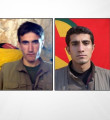 Siirt'te skandal: 4 PKK'lıya nüfusta 'şehit' yazılmış!