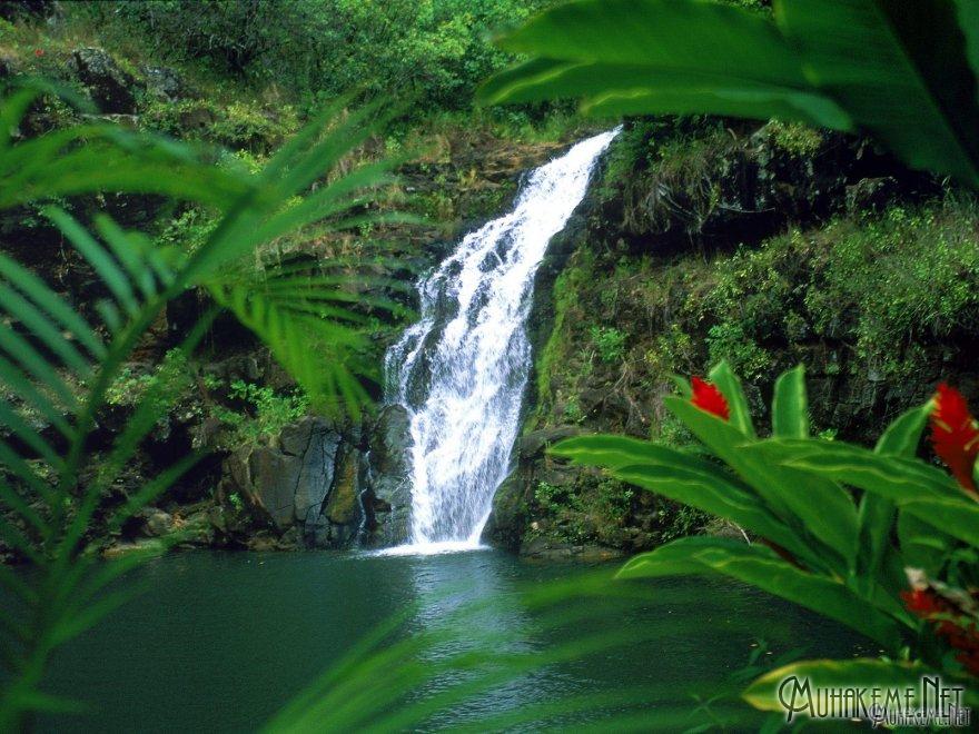 Waimea Falls, Oahu, Hawaii
